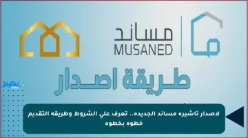 لإصدار تأشيرة مساند الجديدة.. تعرف على الشروط وطريقة التقديم خطوة بخطوة